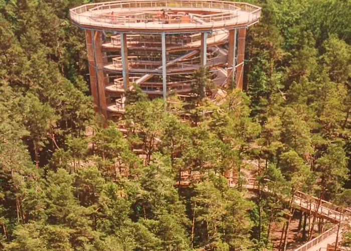 Chalet Le De Pfaffenbronn Lembach