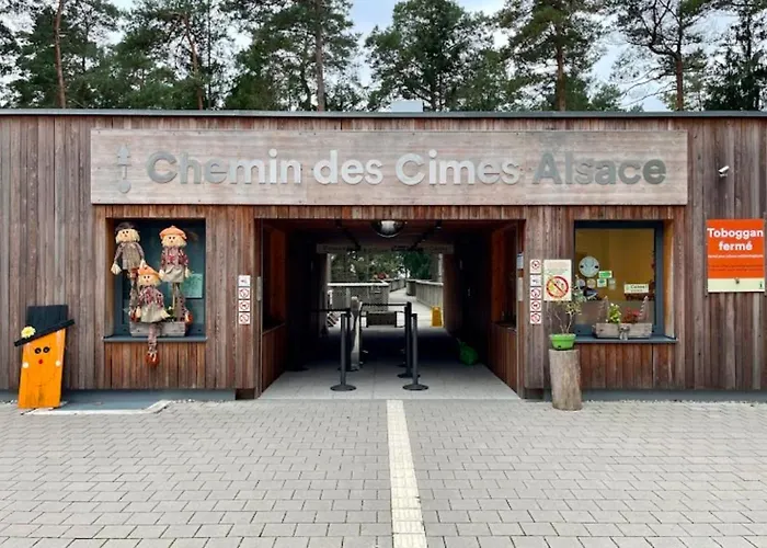 Chalet Le De Pfaffenbronn Lembach